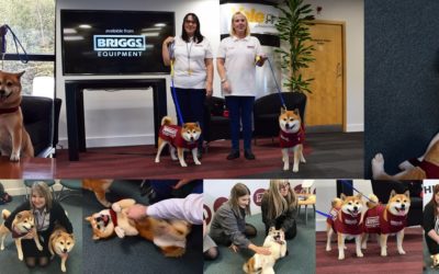 Pets as Therapy dogs take over at Cannock